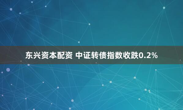 东兴资本配资 中证转债指数收跌0.2%
