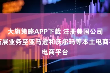 大旗策略APP下载 注册美国公司，拓展业务至亚马逊和沃尔玛等本土电商平台