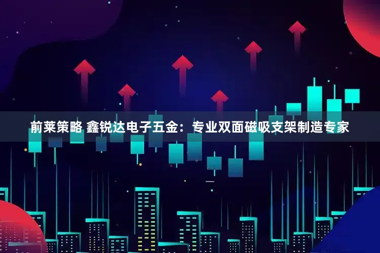 前莱策略 鑫锐达电子五金：专业双面磁吸支架制造专家